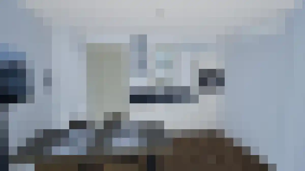 Abdijlaan Uden thumbnail 4