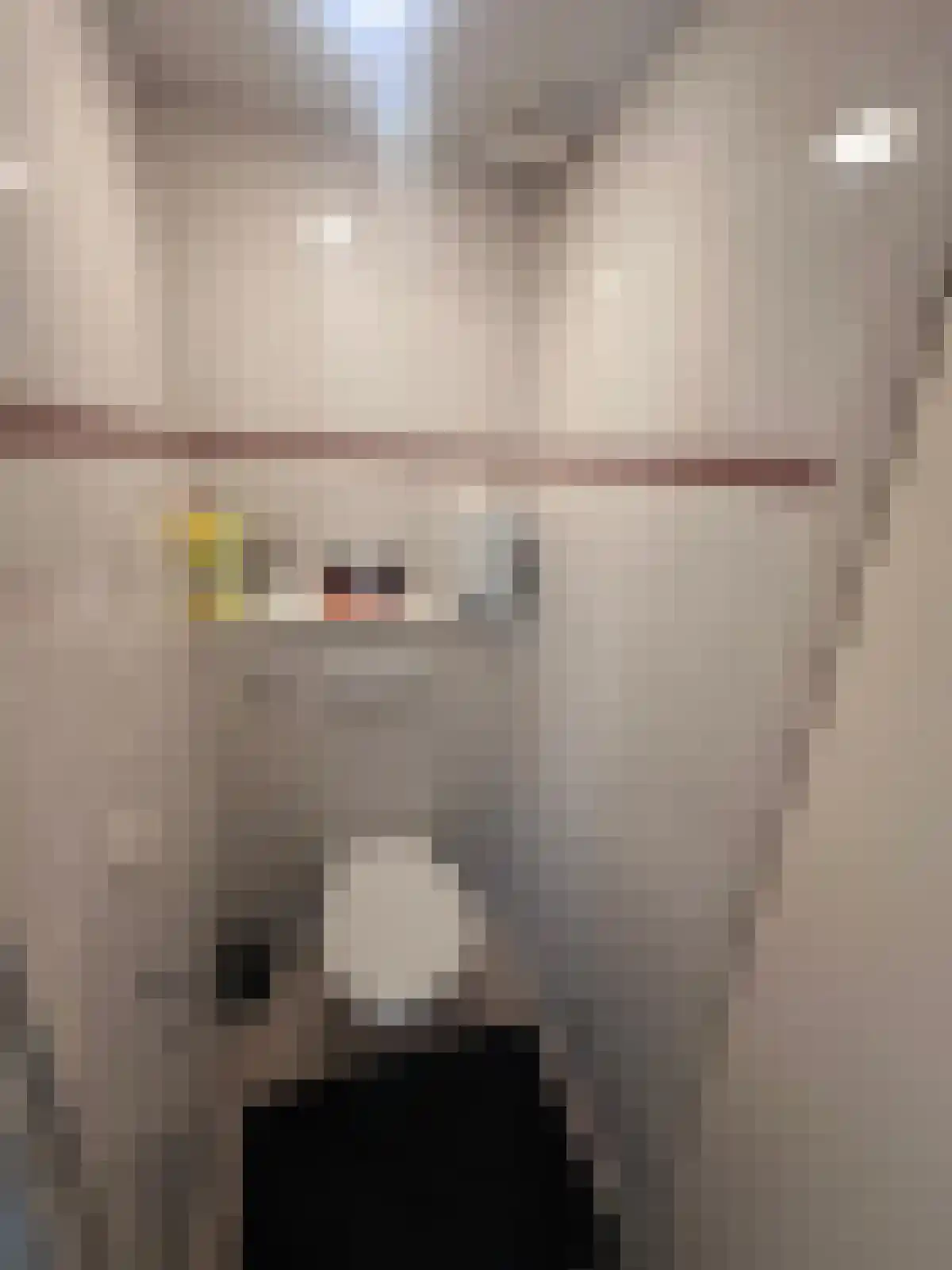Abdijlaan Uden thumbnail 5