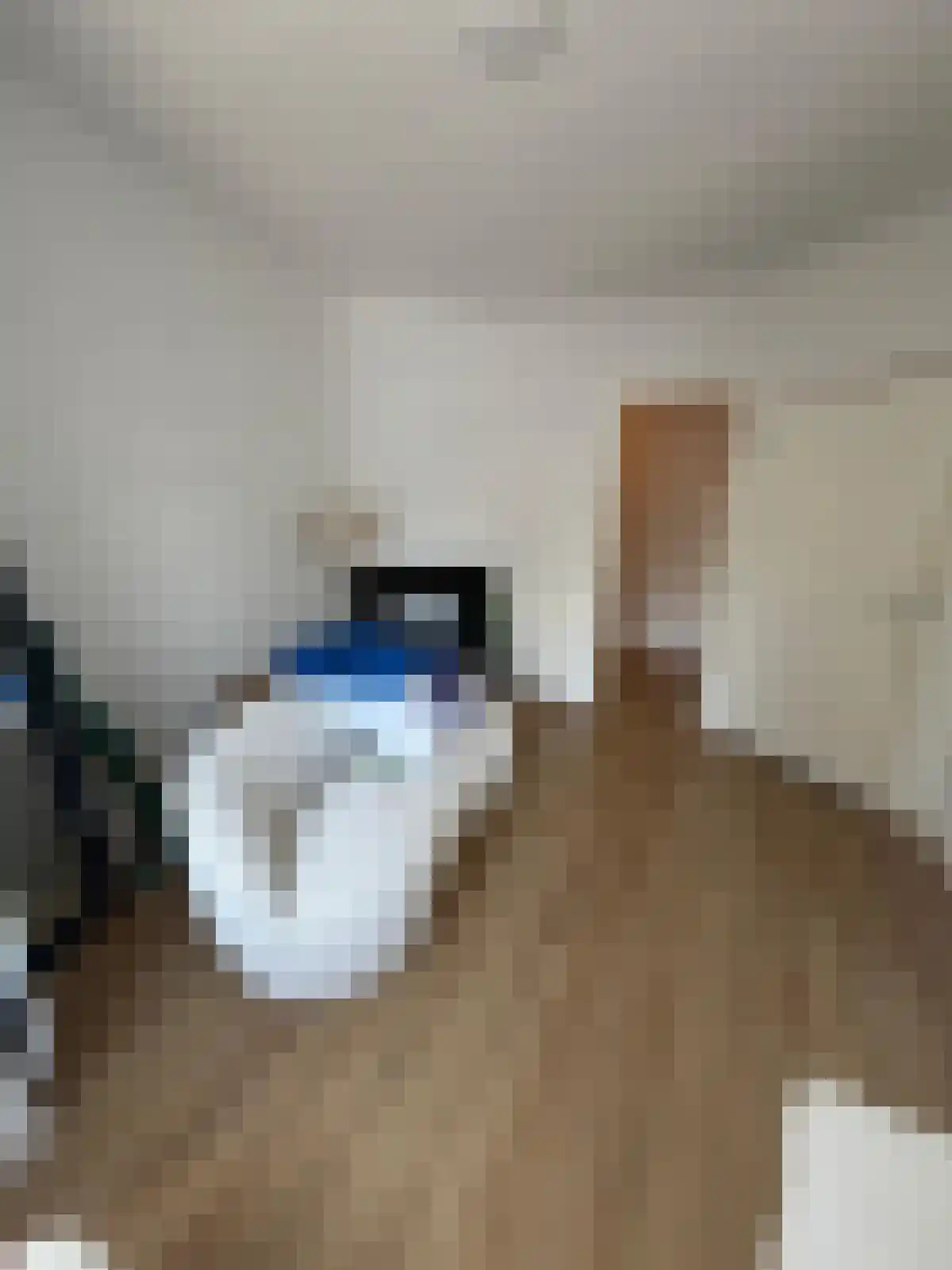 Abdijlaan Uden thumbnail 5