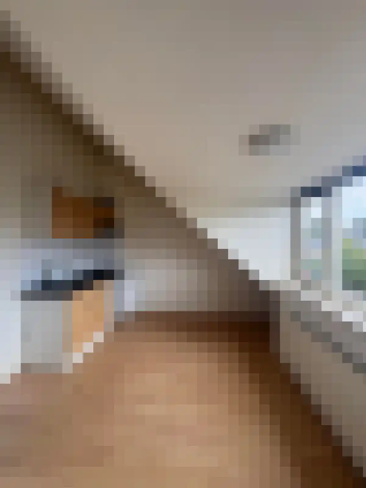 Abdijlaan Uden thumbnail 5