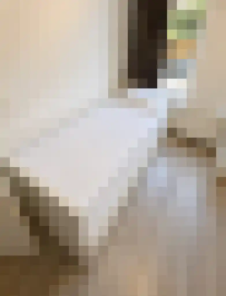 Abdijlaan Uden thumbnail 5