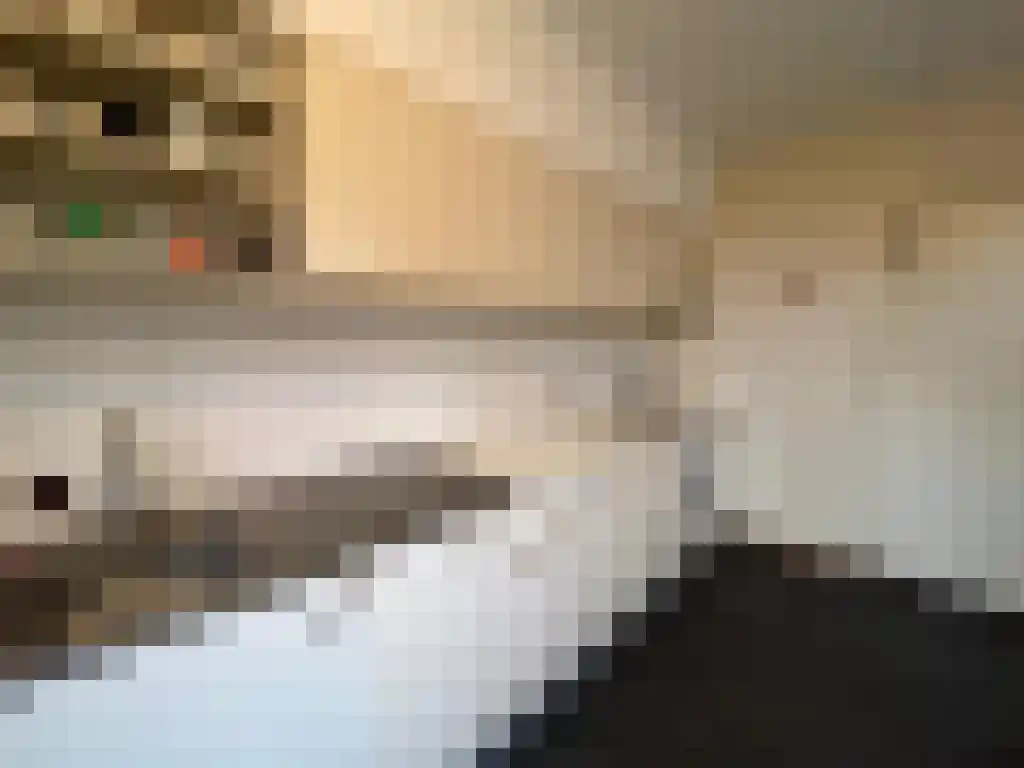 Abdijlaan Uden thumbnail 5