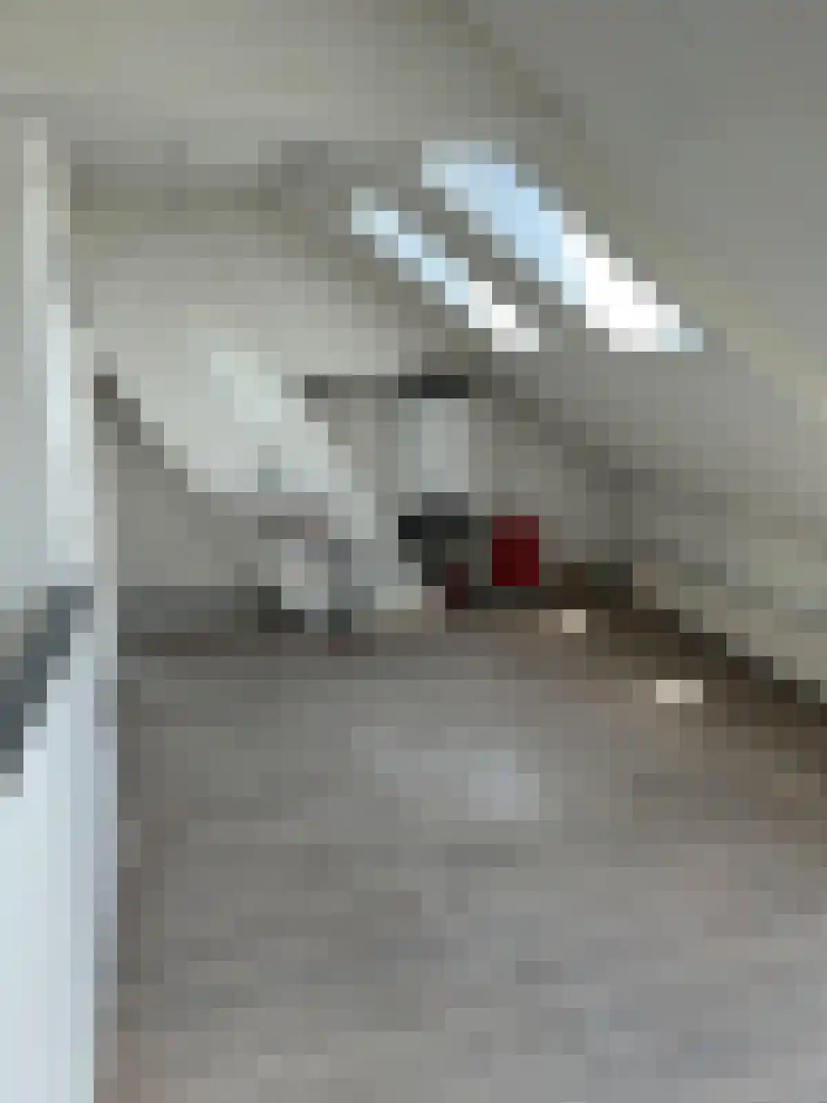 Abdijlaan Uden thumbnail 5