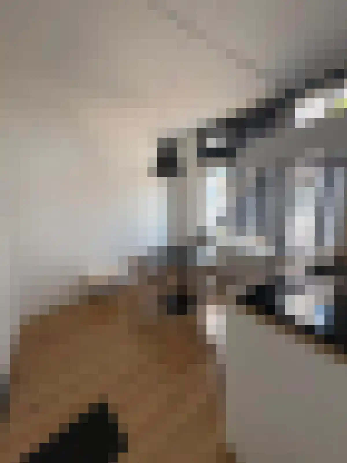 Abdijlaan Uden thumbnail 5