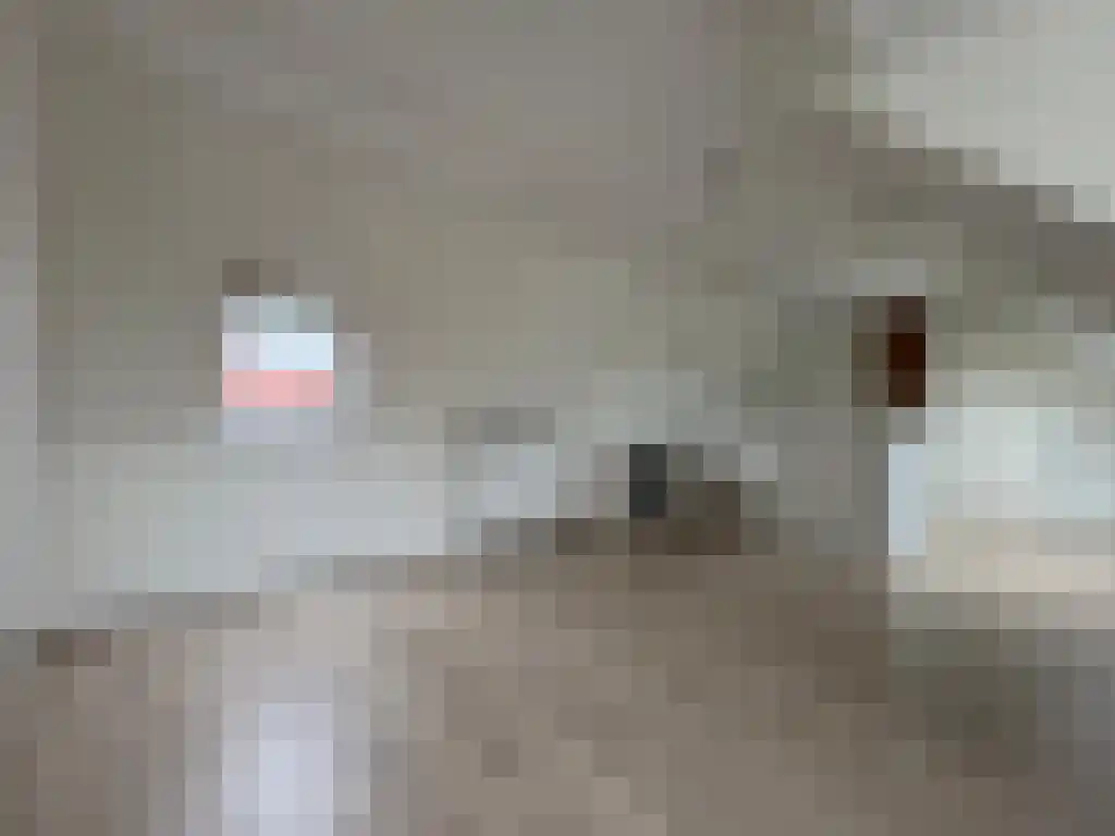 Abdijlaan Uden thumbnail 5