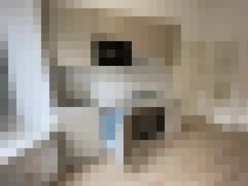 Abdijlaan Uden thumbnail 5
