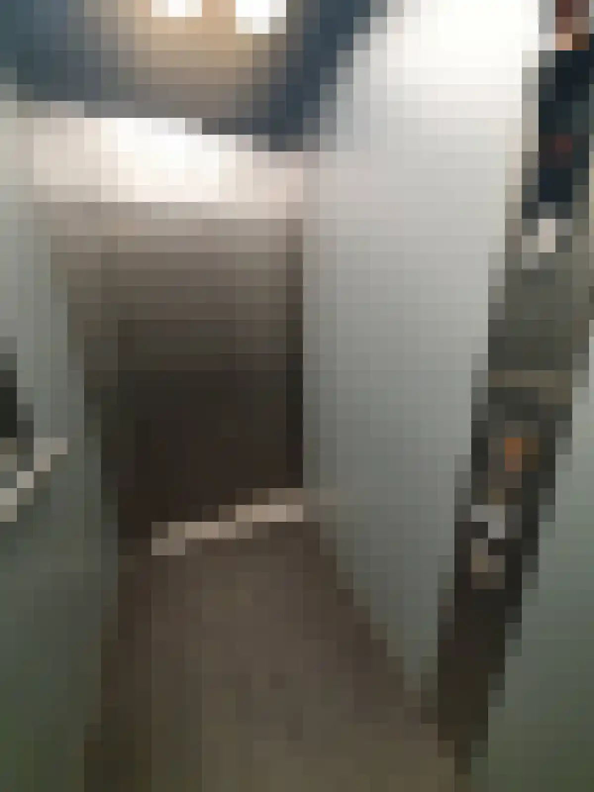 Abdijlaan Uden thumbnail 5
