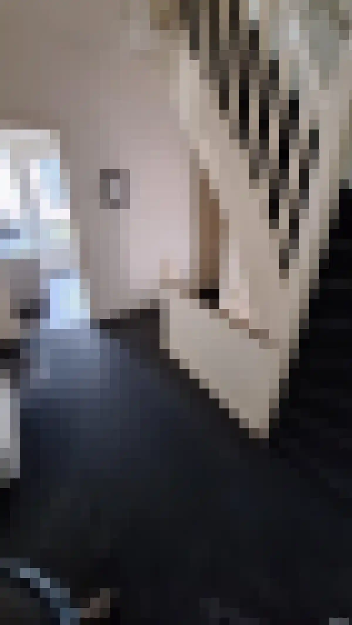 Abdijlaan Uden thumbnail 5