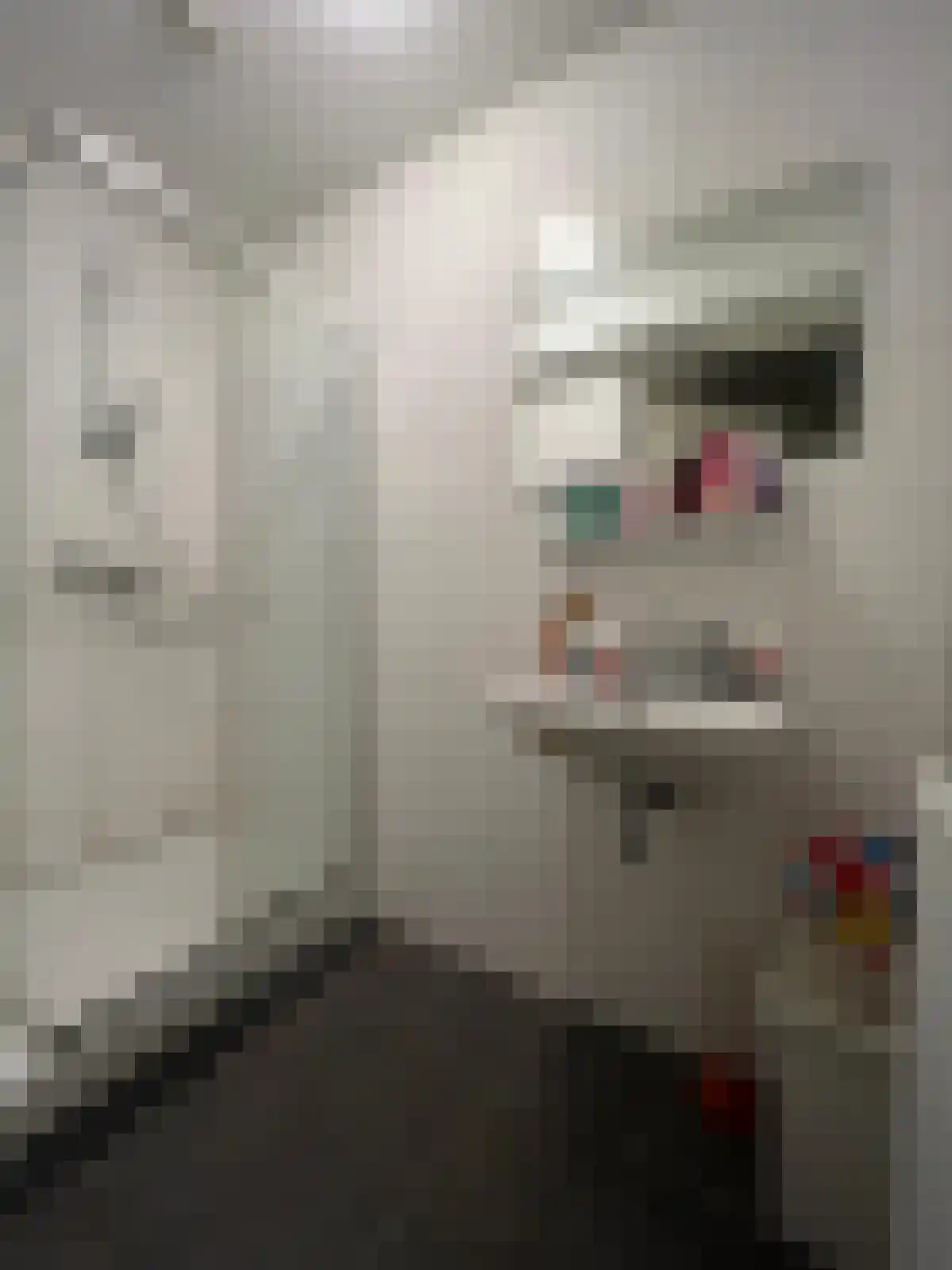 Abdijlaan Uden thumbnail 5