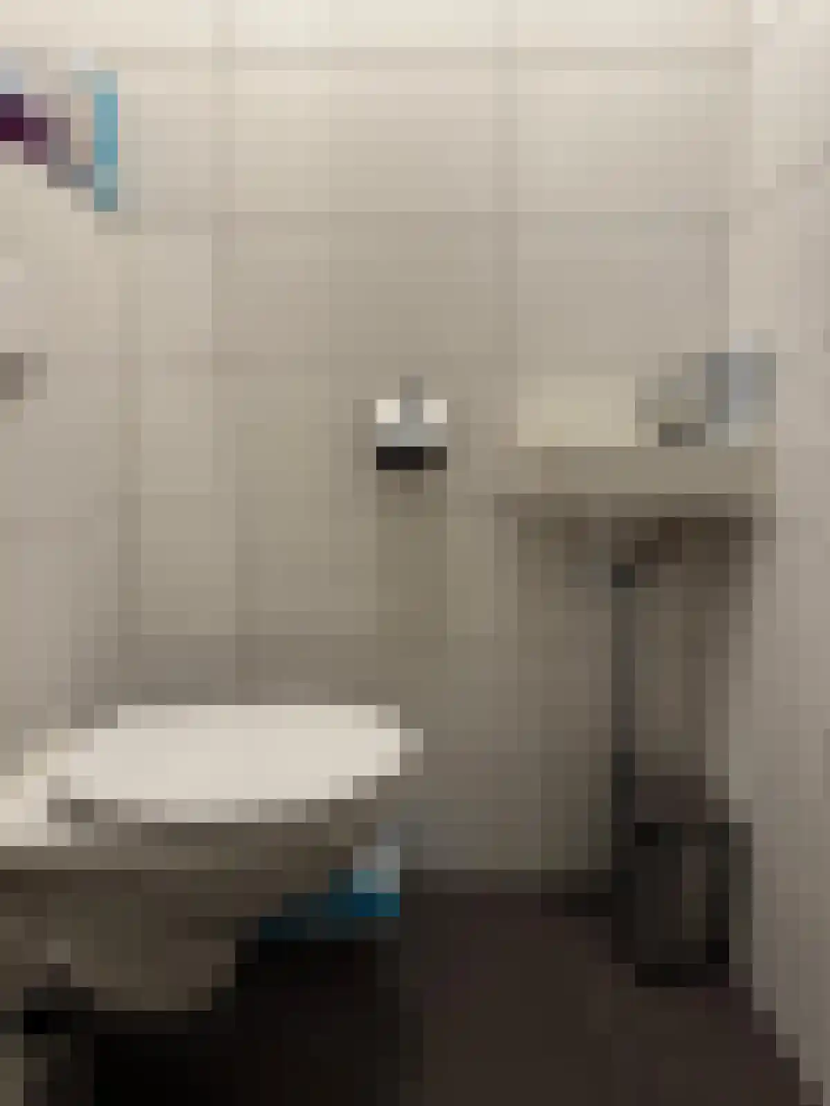 Abdijlaan Uden thumbnail 6