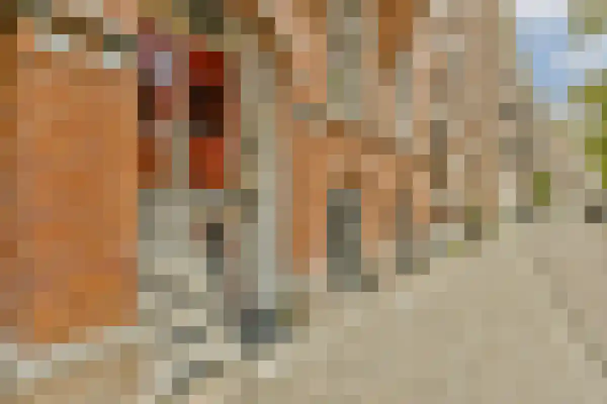 Abdijlaan Uden thumbnail 6