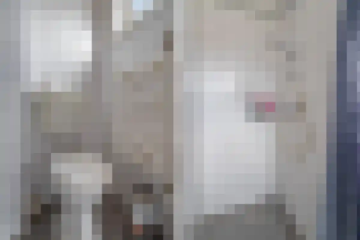 Abdijlaan Uden thumbnail 6