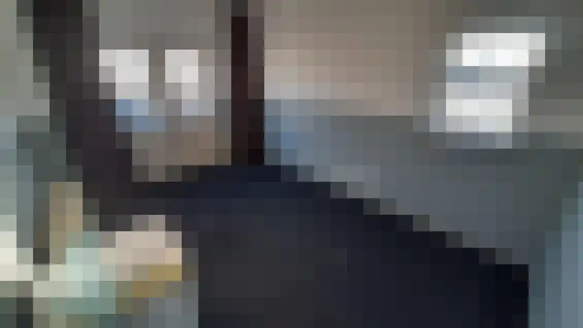 Abdijlaan Uden thumbnail 6
