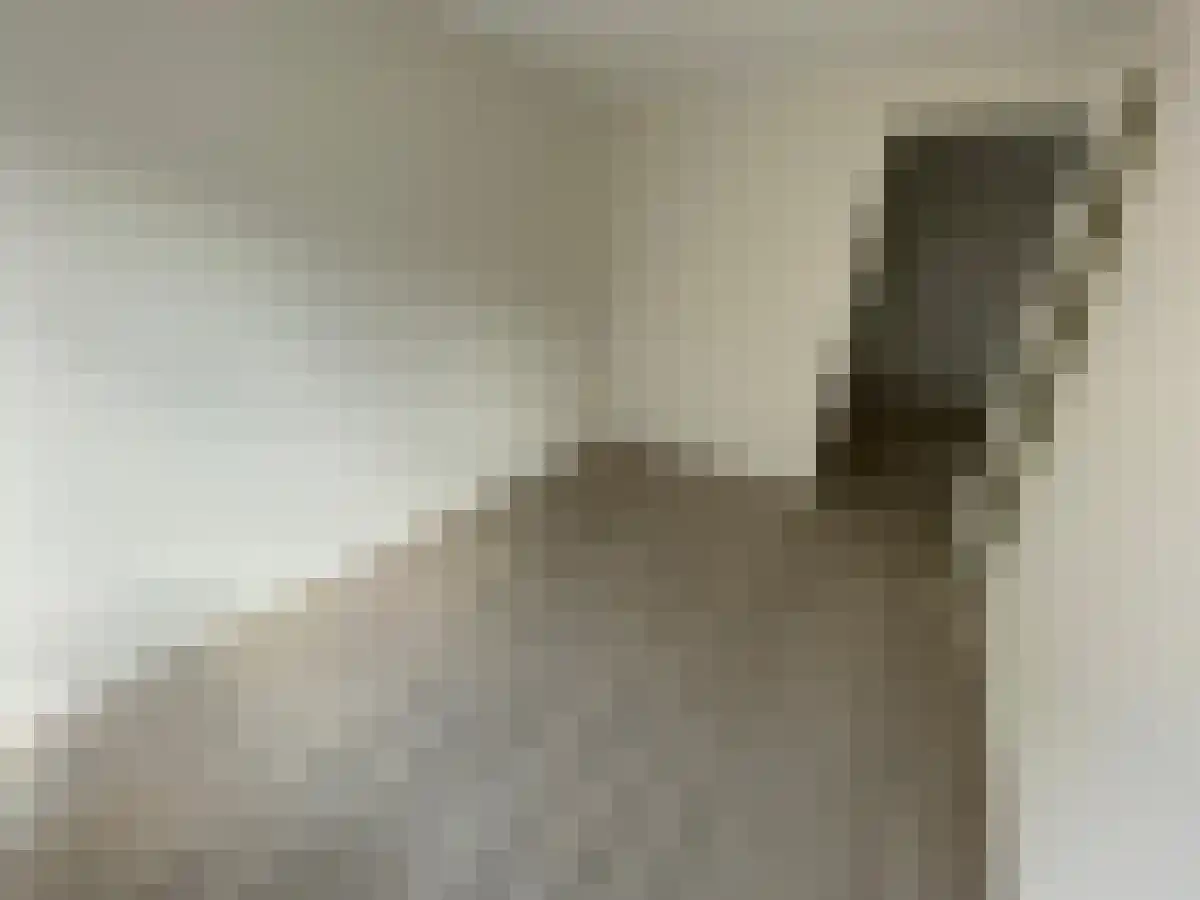 Abdijlaan Uden thumbnail 6