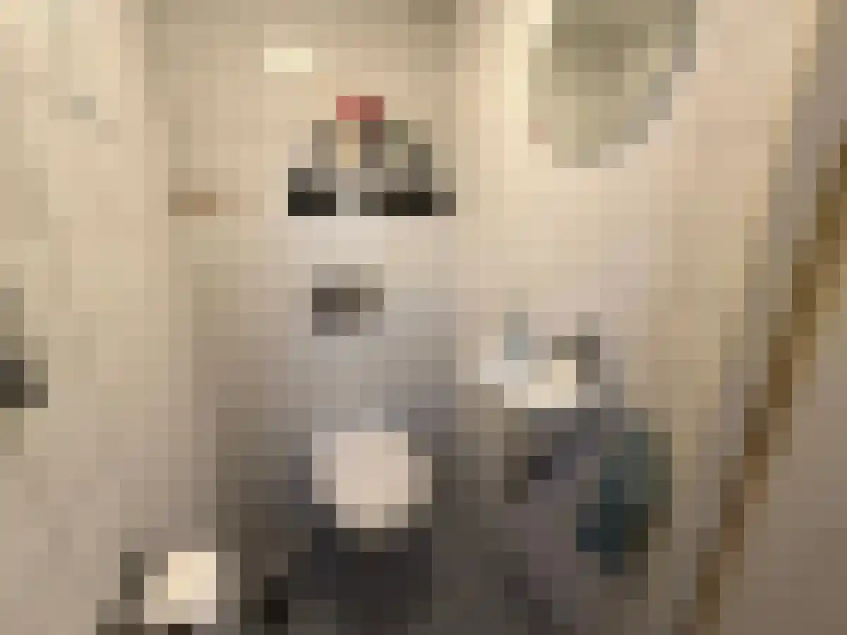 Abdijlaan Uden thumbnail 6