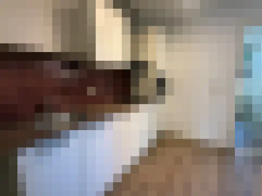Abdijlaan Uden thumbnail 6
