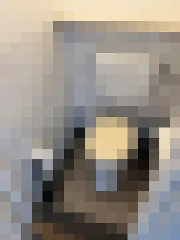 Abdijlaan Uden thumbnail 6