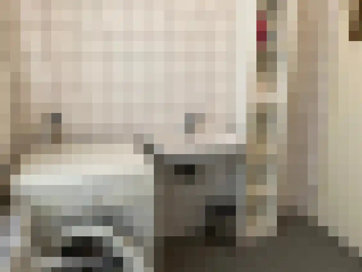 Abdijlaan Uden thumbnail 6