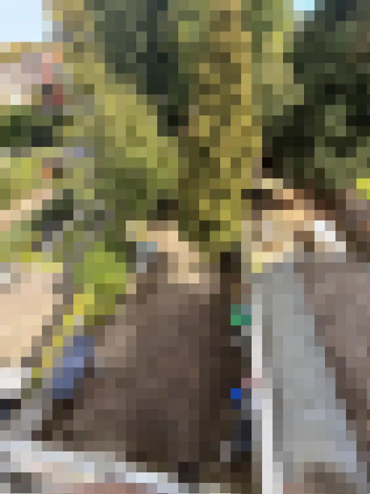 Abdijlaan Uden thumbnail 6