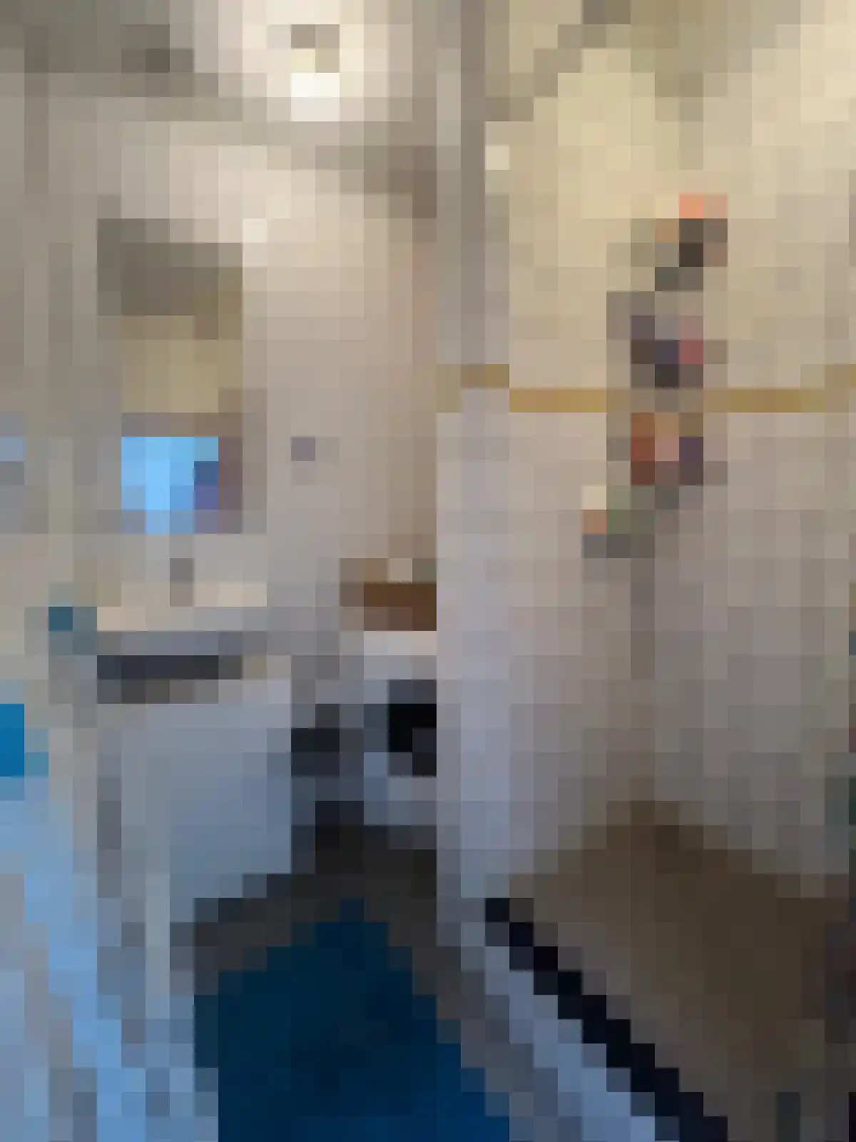 Abdijlaan Uden thumbnail 6