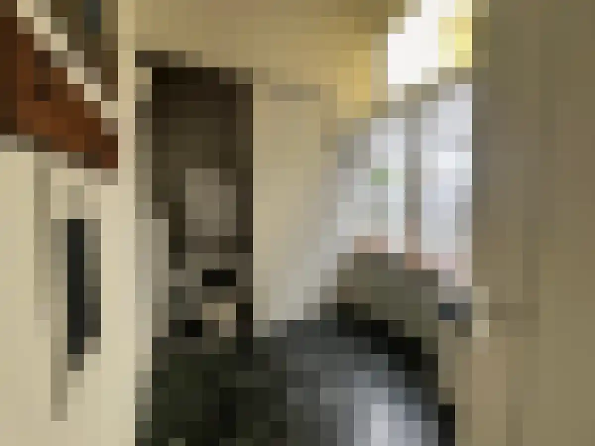 Abdijlaan Uden thumbnail 6