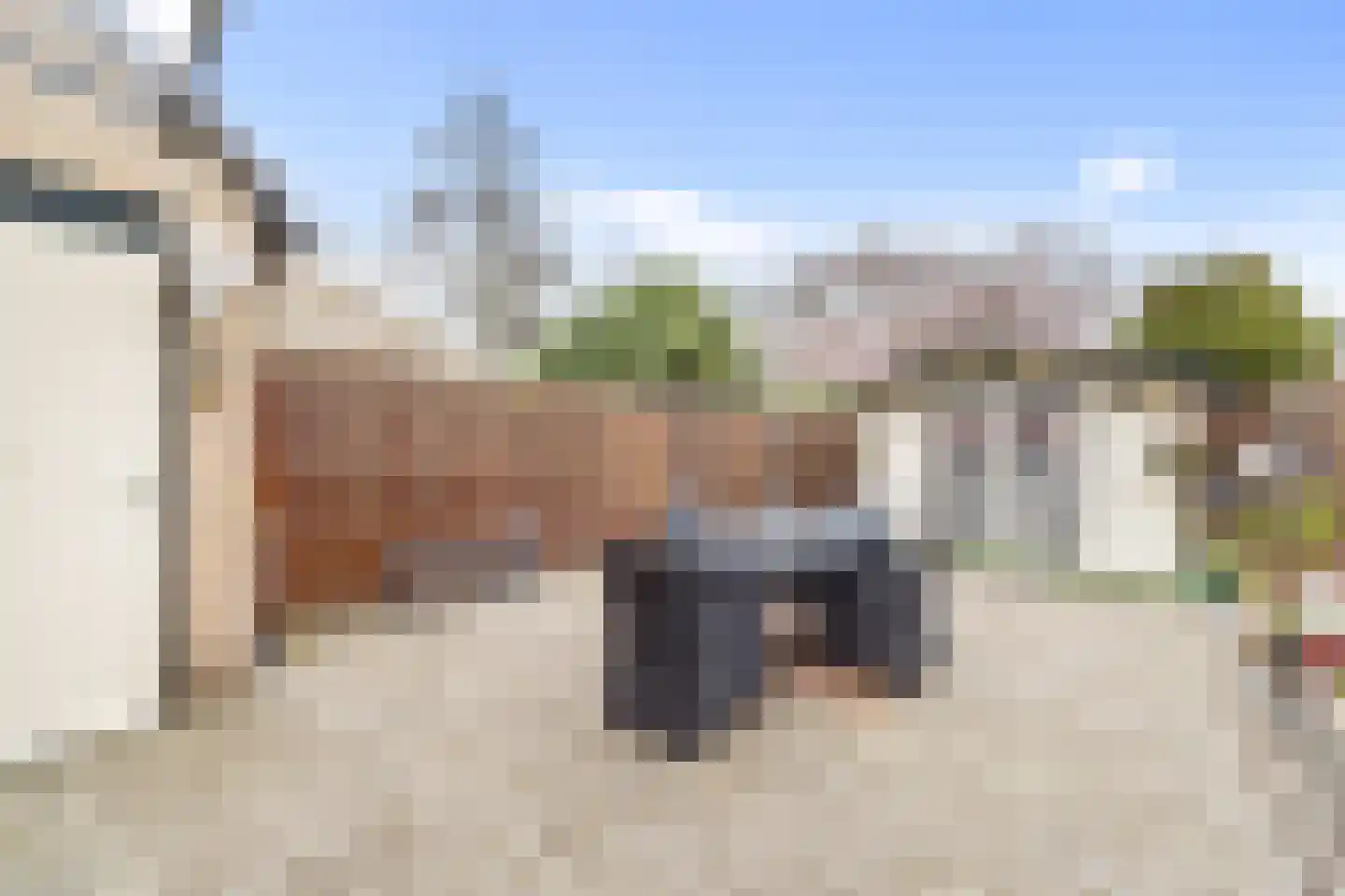 Abdijland 30 Leidschendam thumbnail 9