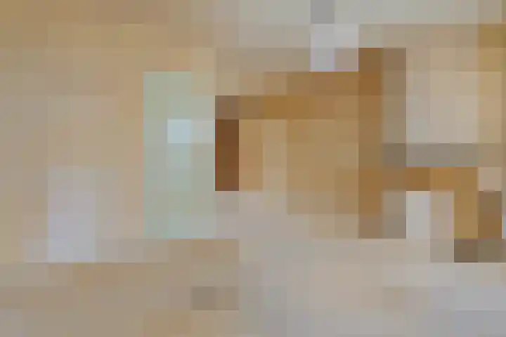 Abdijstraat 10 Kapelle thumbnail 10
