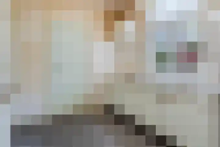 Abdijstraat 10 Kapelle thumbnail 14