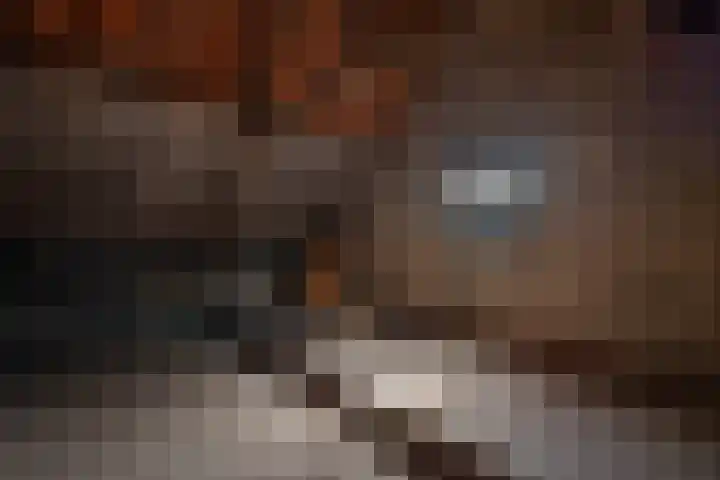 Abdijstraat 10 Kapelle thumbnail 21
