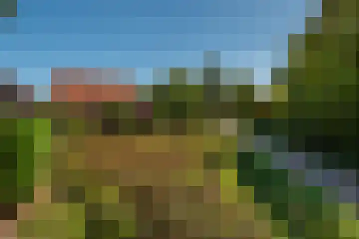 Abdijstraat 10 Kapelle thumbnail 30