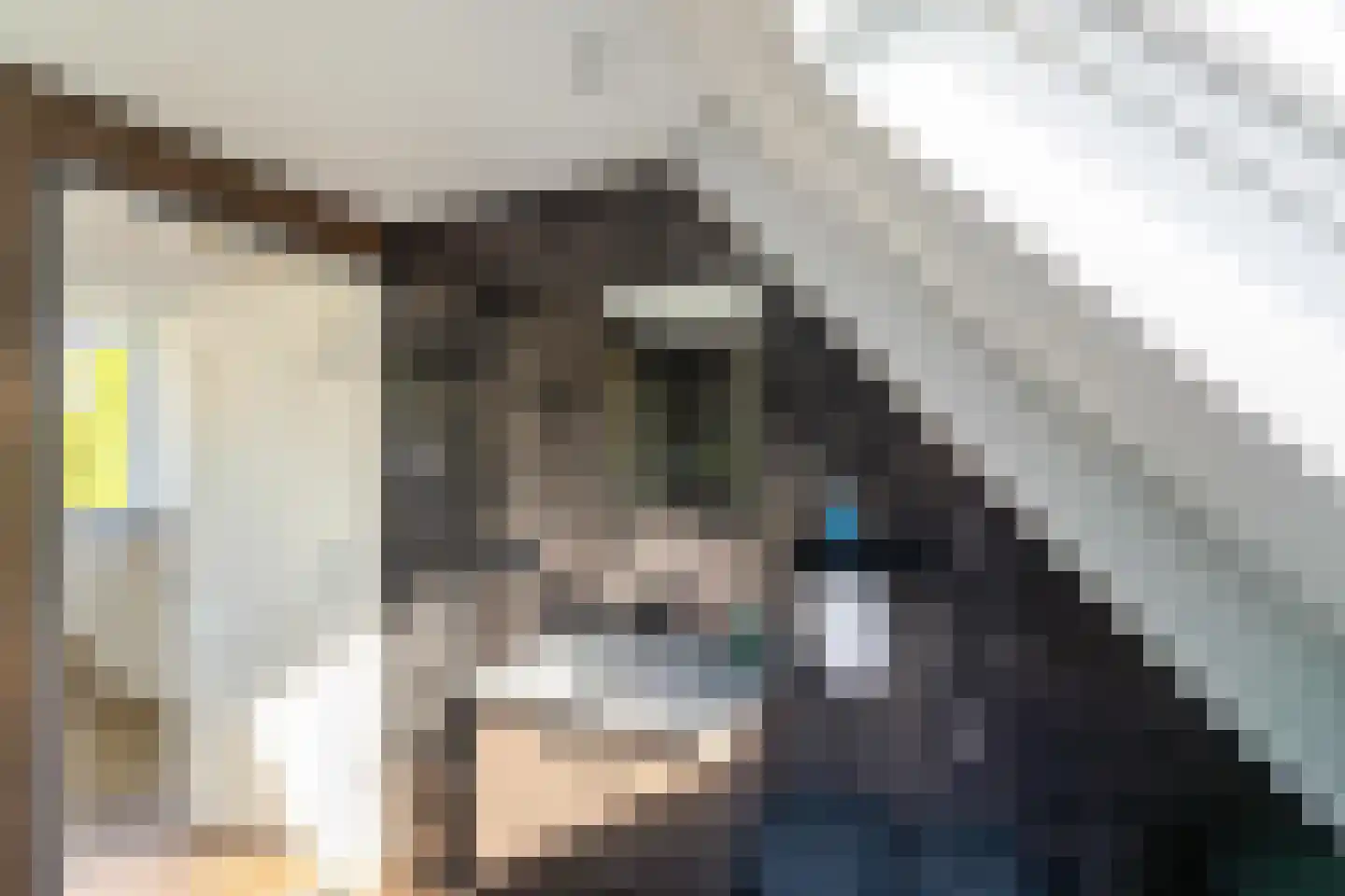 Abdijstraat 11 Aduard thumbnail 39