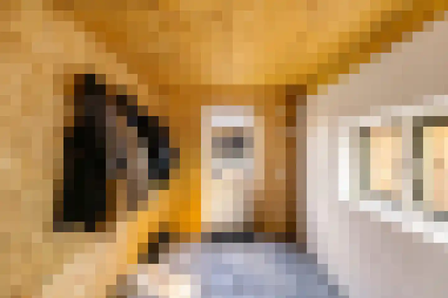 Abdijstraat 11 Aduard thumbnail 41