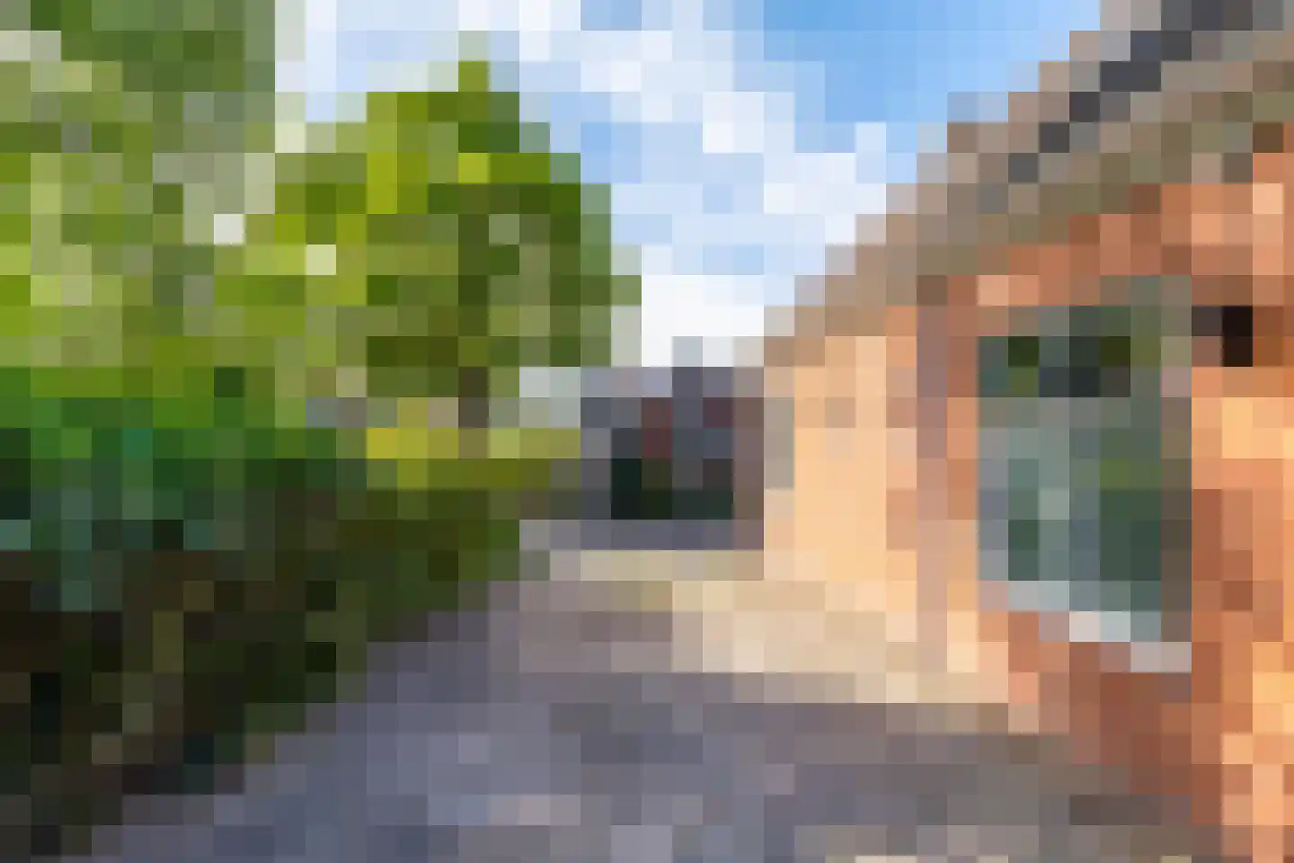 Abdijstraat 11 Aduard thumbnail 50