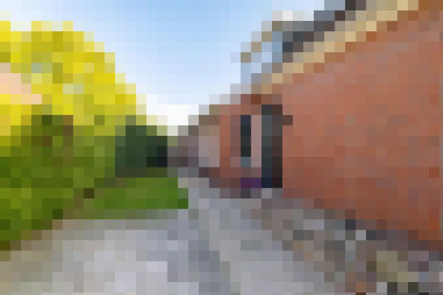 Abdijstraat 11 Aduard thumbnail 9