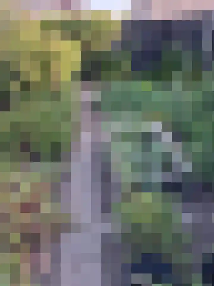 Abdijstraat 2 A Kapelle thumbnail 10