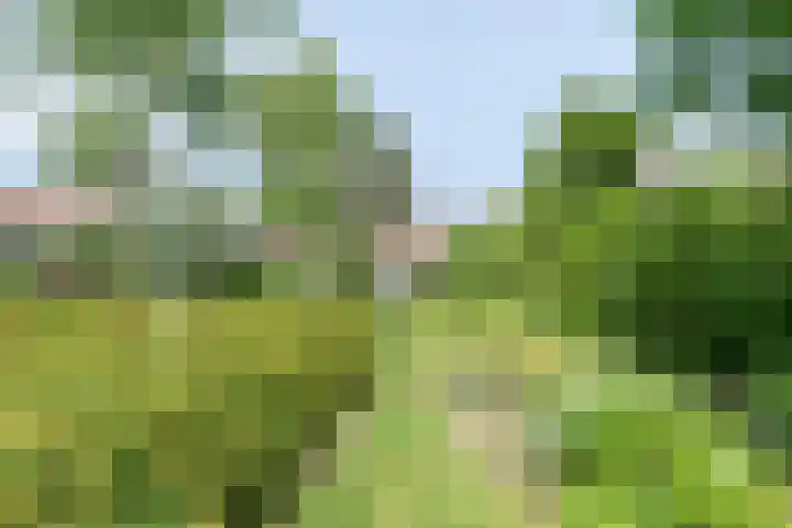 Abdijstraat 2 A Kapelle thumbnail 11