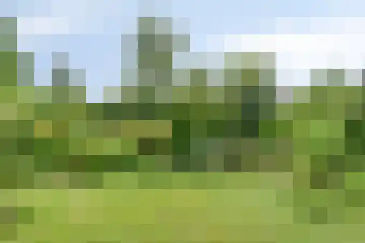 Abdijstraat 2 A Kapelle thumbnail 4