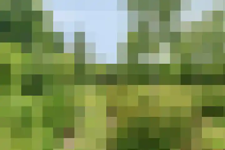 Abdijstraat 2 A Kapelle thumbnail 5