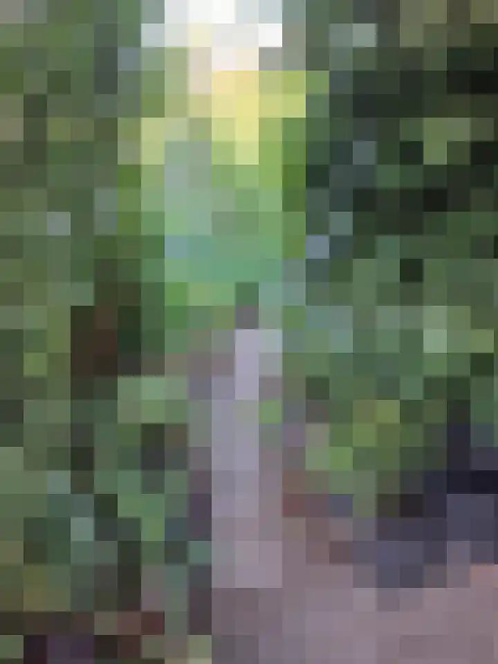 Abdijstraat 2 A Kapelle thumbnail 9