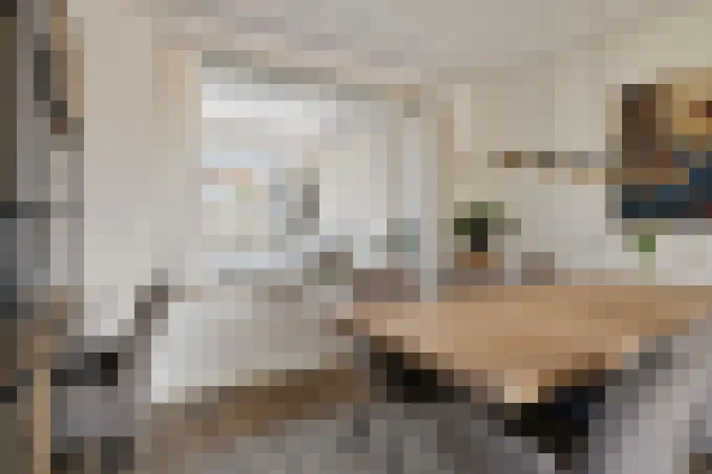Abdijstraat 22 Heeswijk-Dinther thumbnail 10