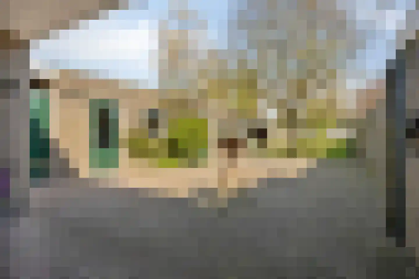Abdijstraat 22 Heeswijk-Dinther thumbnail 31