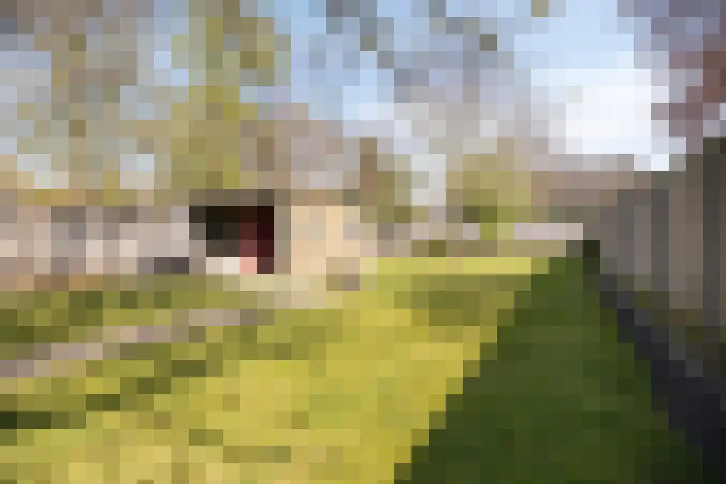 Abdijstraat 22 Heeswijk-Dinther thumbnail 33