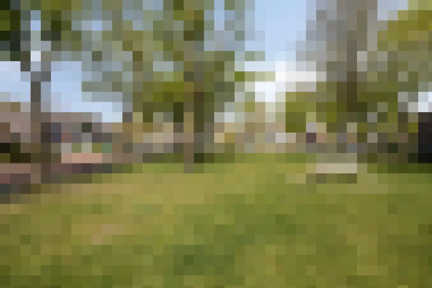 Abdijstraat 22 Heeswijk-Dinther thumbnail 36