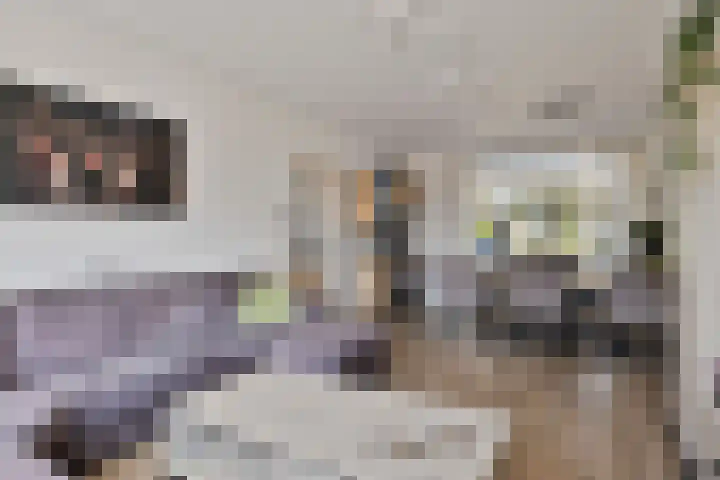 Abdijstraat 22 Heeswijk-Dinther thumbnail 8