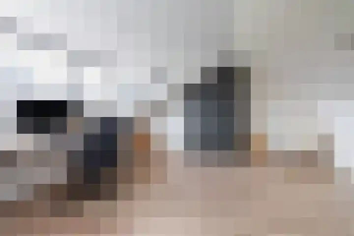 Abdijstraat 27 Breda thumbnail 36