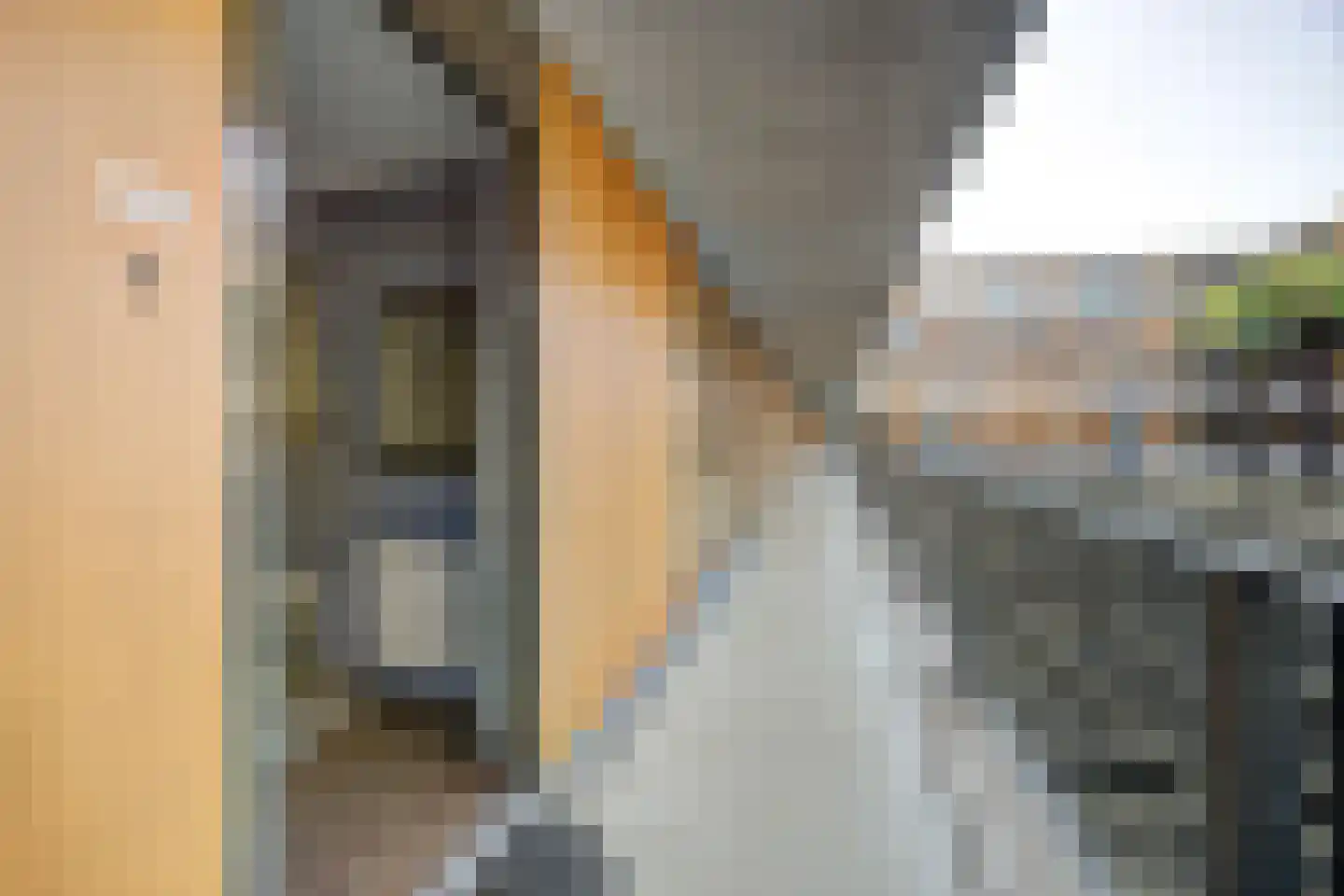 Abdijstraat 68 Breda thumbnail 10