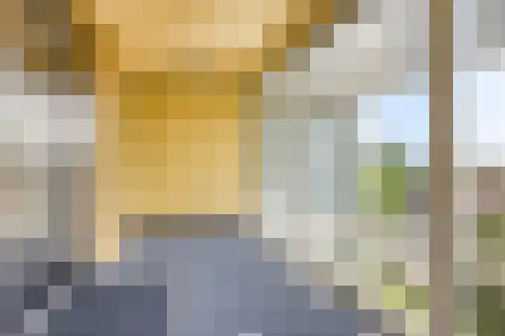 Abdijtuinen 113 Veldhoven thumbnail 11