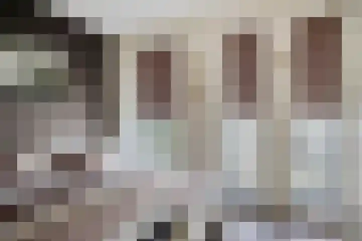 Abdijtuinen 113 Veldhoven thumbnail 17