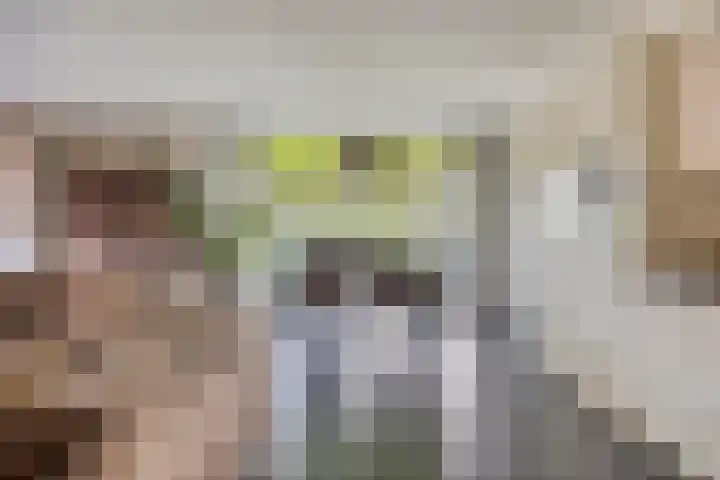 Abdijtuinen 113 Veldhoven thumbnail 26