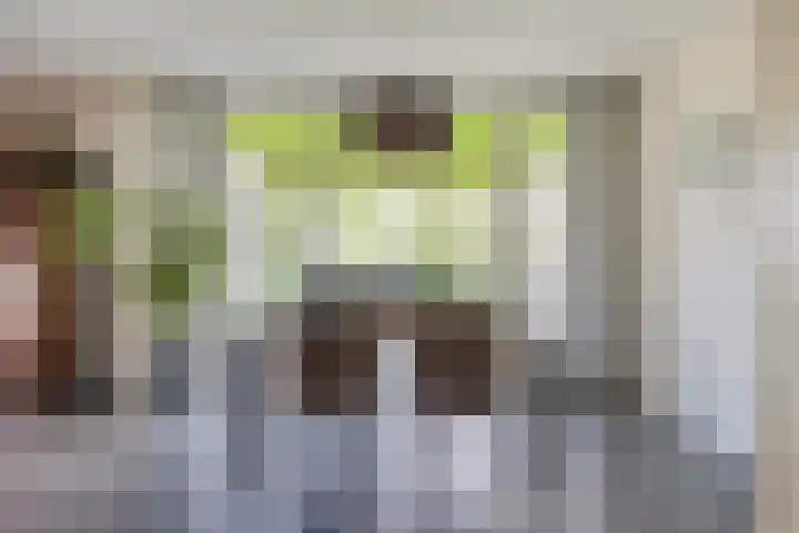 Abdijtuinen 113 Veldhoven thumbnail 27